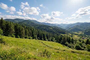 İncesu da satılık müstakil arsa - Fotoğraf 6